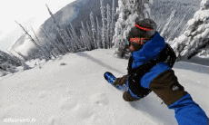 Humour - Fun Sports SnowBoard Free Ride Fun Win 