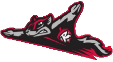 Sport Baseball U.S.A - Eastern League Richmond Flying Squirrels 