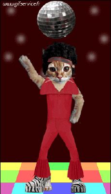 Humor - Fun Animales Gatos 03 