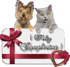 Nachrichten Spanisch Feliz Cumpleaños Animales 005 