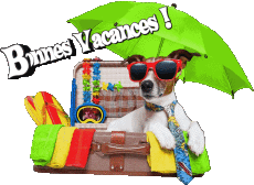 Messages Français Bonnes Vacances Fond Transparent 11 