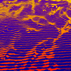 Humor - Fun GIF Artista Bill Tavis 