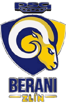 Sports Hockey - Clubs Tchéquie Aukro Berani Zlin 