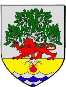 Flags France Departments - Cities 40 SOUSTONS 