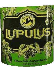 Bebidas Cervezas Chile Kross 