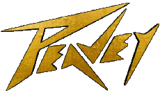 Multimedia Ton - Hardware Peavey 