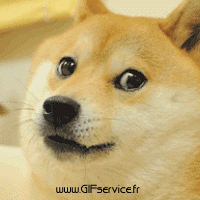 Umorismo -  Fun Animali Cani 03 