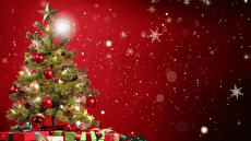 Messages German Fröhliche  Weihnachten Video 