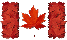 Drapeaux Amériques Canada Rectangle 