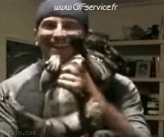 Humor -  Fun Animals Dogs 01 