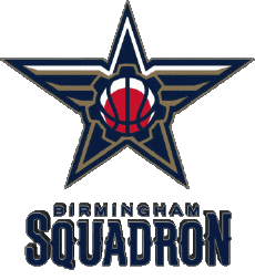 Sport Basketball U.S.A - N B A Gatorade Birmingham Squadron 