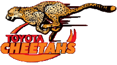 Sportivo Rugby - Club Mondo - Logo Sud Africa Cheetahs 