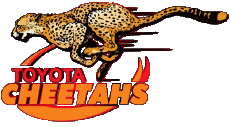 Sports Rugby Club Logo Afrique du Sud Cheetahs 