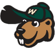 Deportes Béisbol U.S.A - Northwoods League Wisconsin Woodchucks 