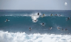Humour - Fun Sports Surf Gamelle Fail 