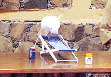 Humor - Fun Animales Pájaros Loro Peruche 