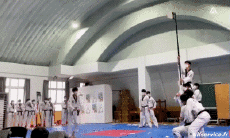 Umorismo -  Fun Sportivo Arti marziali Fun Win 