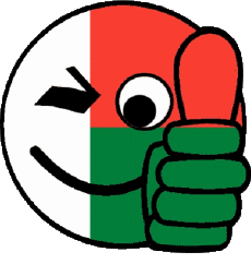 Fahnen Afrika Madagaskar Smiley - OK 