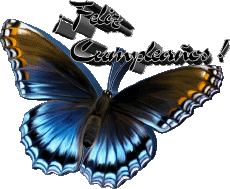 Mensajes Español Feliz Cumpleaños Mariposas Fondo transparente 006 