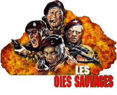 Multimedia Películas Internacional Patos Salvajes Logotipo Francés 