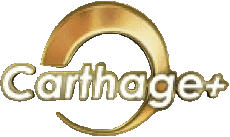 Multi Média Chaines - TV Monde Tunisie Carthage + 