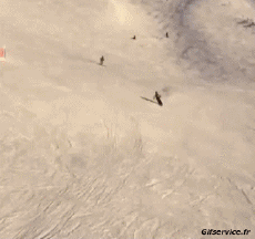 Humor -  Fun Sports Ski Fail Various 