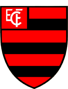 Sports Soccer Club America Logo Brazil Piauí Esporte Clube Flamengo 