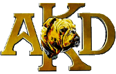 Transport MOTORCYCLES Akd-Motorcycles AKD Motorcycles 