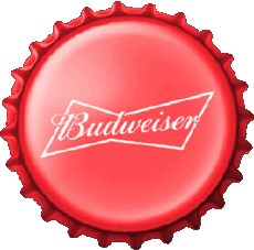 Getränke Bier USA Budweiser 