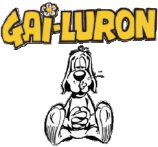 Multi Média Bande Dessinée Gai Luron 