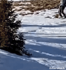 Humour - Fun Sports Ski Gamelles - Fail Divers 