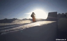 Humor -  Fun Sport Ski Free Style Fun Win 