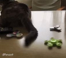 Humour - Fun Animaux Chats Serie 06 