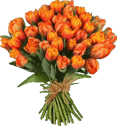 Messages German Alles Gute zum Geburtstag Blumen Transparent Background 012 