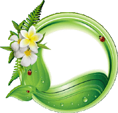 Mensajes Inglés Happy Birthday Floral Fondo transparente 011 