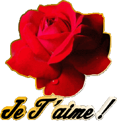 Messages Français Je T'aime 01 