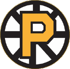 Sportivo Hockey - Clubs U.S.A - AHL American Hockey League Providence Bruins 