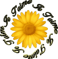 Messages French Je T'aime 03 