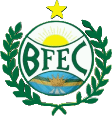 Sportivo Calcio Club America Logo Brasile Distrito Federal Bosque Formosa EC 