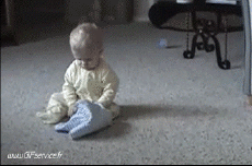 Humour - Fun Animaux Chiens Serie 02 