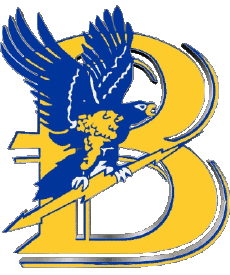 Deportes N C A A - D1 (National Collegiate Athletic Association) B Bentley Falcons 