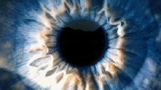 Multi Média Chaines -  TV France Ushuaïa TV Jingle Pub 