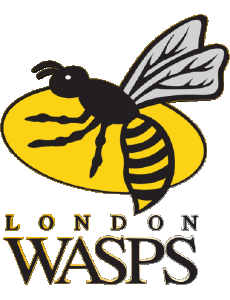 Sports Rugby Club Monde Logo Angleterre L London Wasps 