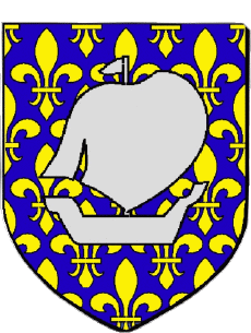 Blasón-Banderas Francia Departamentos - Ciudades 974 SAINT LOUIS 