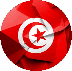 Flags Africa Tunisia Round 