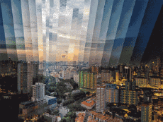 Humour - Fun GIF Artistes Qi-Wei-Fong 