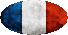 Flags France National Oval 