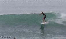 Humor - Fun Deportes Surf Fun - Win 