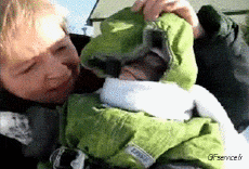 Humour - Fun Animaux Singes Serie 01 