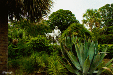 Humour - Fun 3D Effets Stéreoscopique Wiggle 